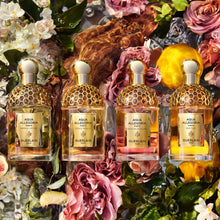 Guerlain Aqua Allegoria Forte Rosa Palissandro EDP