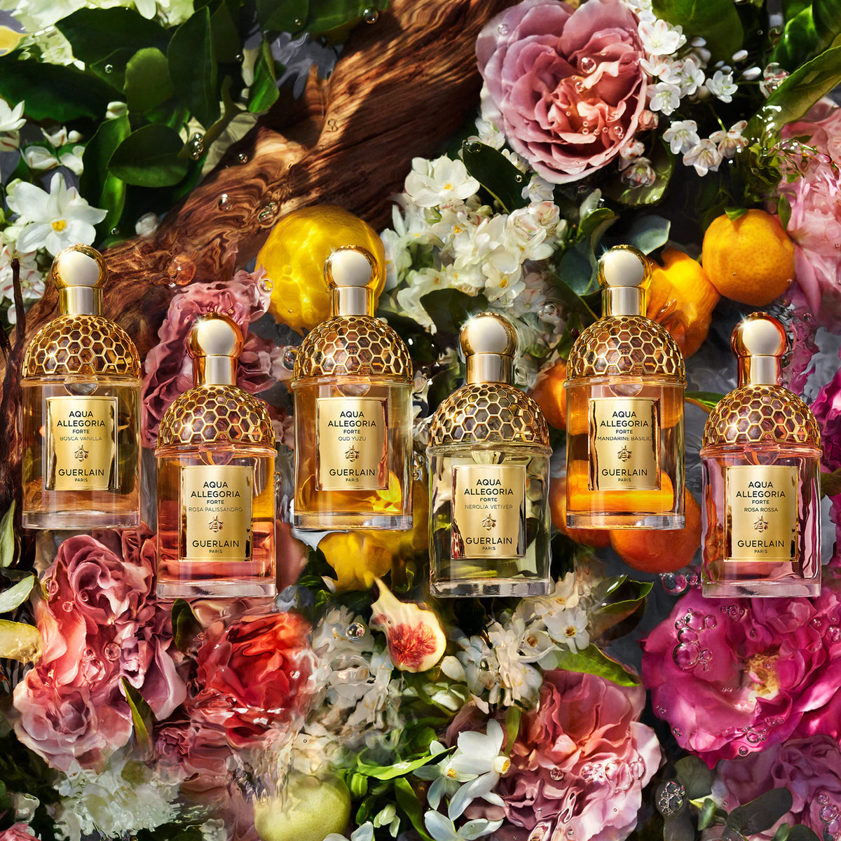 Guerlain Aqua Allegoria Forte Mandarine Basilic EDP