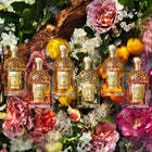 Guerlain Aqua Allegoria Nerolia Vetiver Forte EDP