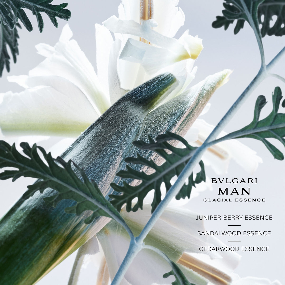 Bvlgari Man Glacial Essence – парфюмна вода, мъжки аромат с хвойна и кедър