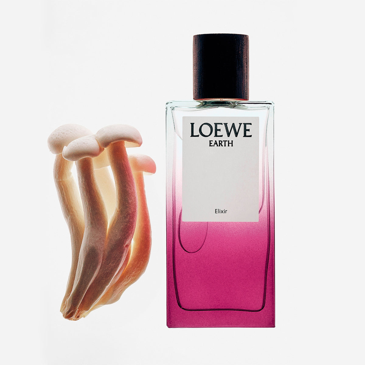 Loewe Earth Elixir парфюмна вода унисекс