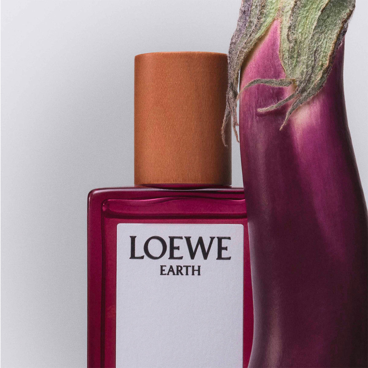 Loewe Earth парфюмна вода унисекс