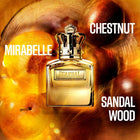 Jean P. Gaultier Scandal Pour Homme Absolu EDP - EDP Парфюмна вода за жени - HOF.BG