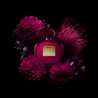 Antonio Banderas Her Secret Temptation EDT, дамска тоалетна вода 80 мл