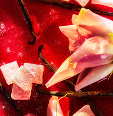 Roja Parfums Nüwa Parfum
