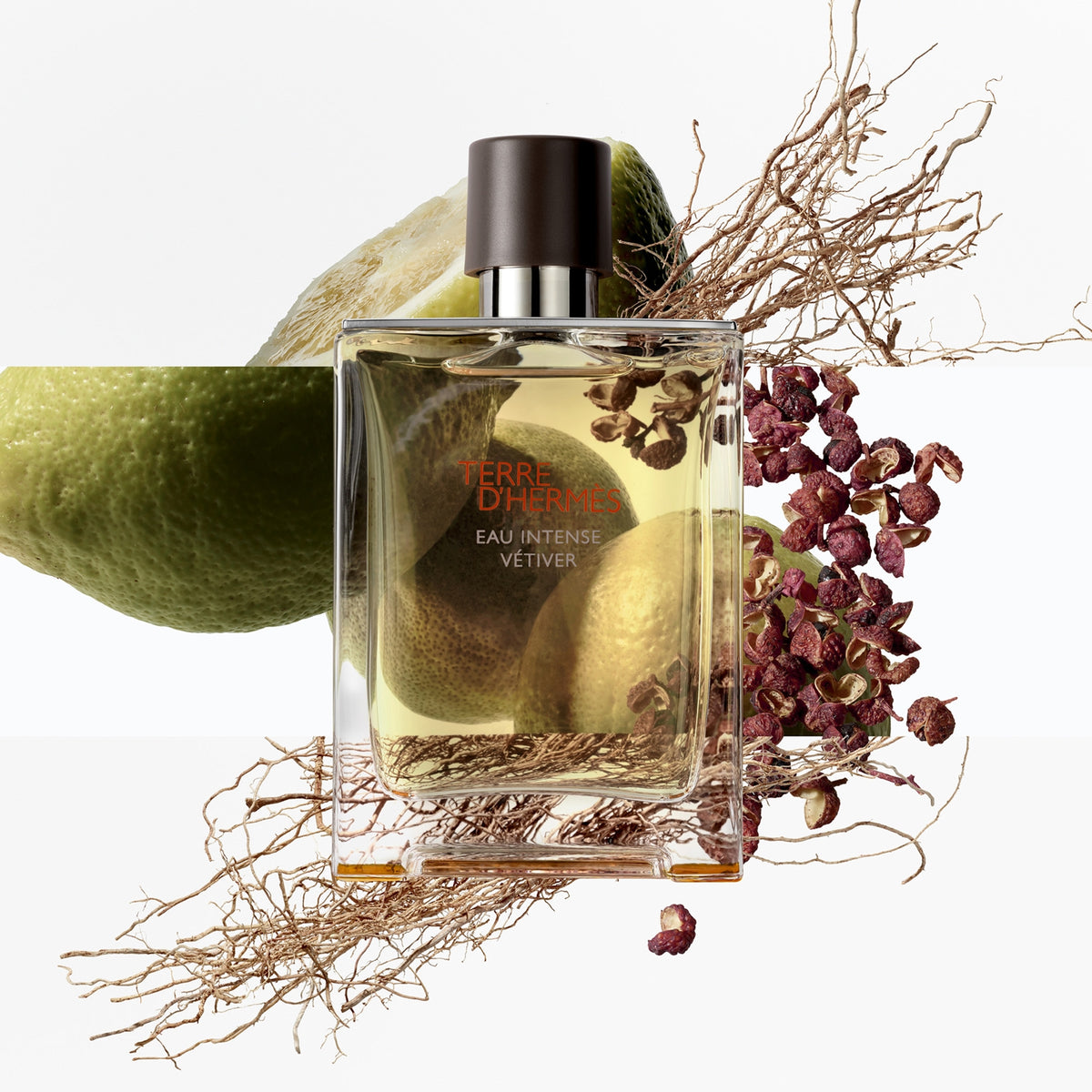 Hermes Terre D'Hermes Eau Intense Vetiver парфюмна вода, мъжки аромат
